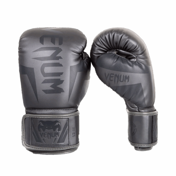Gants de Boxe Venum Elite - Gris/Gris